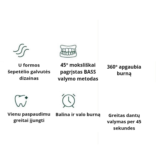 U formy elektryczna szczoteczka do zębów